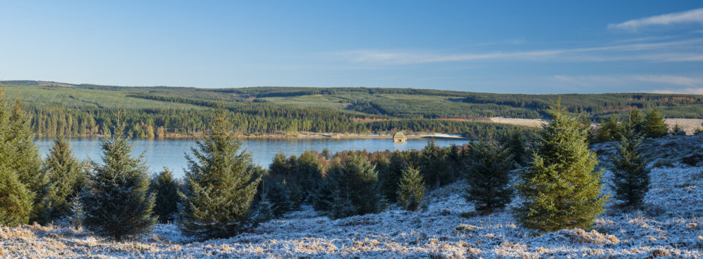 England, Northumberland, Kielder Water & Forest Park. View from the Elf Kirk Viewpoint looking over the snow covered landscape of the Kielder Water & Forest Park.