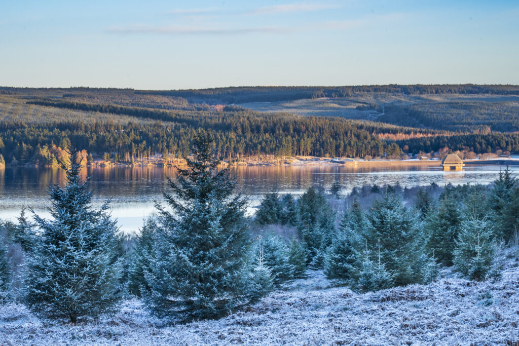 England, Northumberland, Kielder Water & Forest Park. View from the Elf Kirk Viewpoint looking over the snow covered landscape of the Kielder Water & Forest Park.