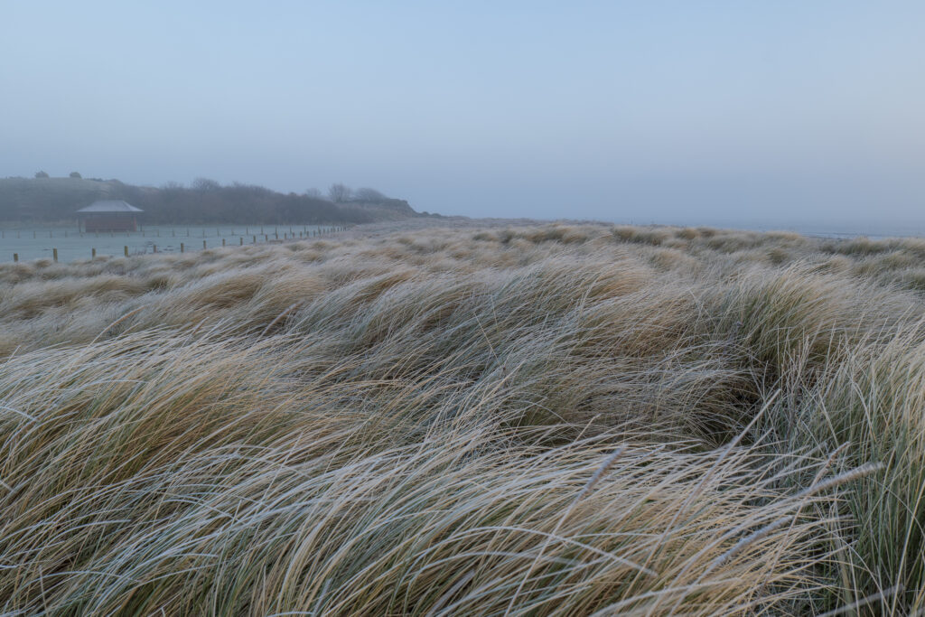 England, Northumberland, Berwick Upon Tweed. A misty morning on the coast at Berwick Upon Tweed, with the coast line engulfed by fog.