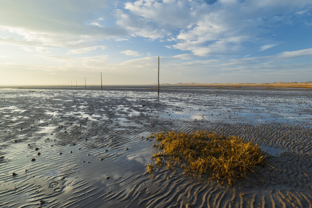 England, Northumberland, Northumberland Heritage Coast. Wooden posts marking the Pilgrim's Causeway linking the Holy Island of Lindisfarne off the Northumberland Coast with the mainland.