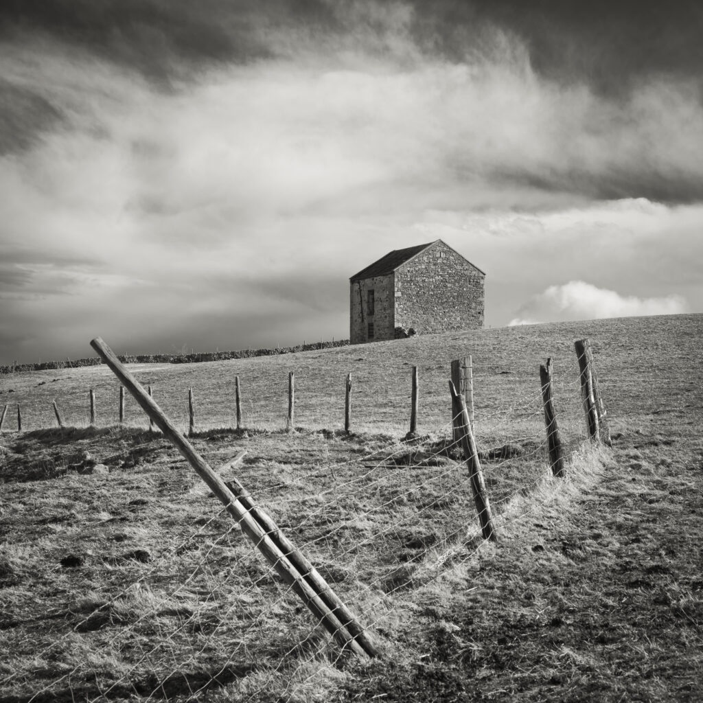 England, County Durham, Tees Dale. Farm building in a sheep field near to Bowlees.