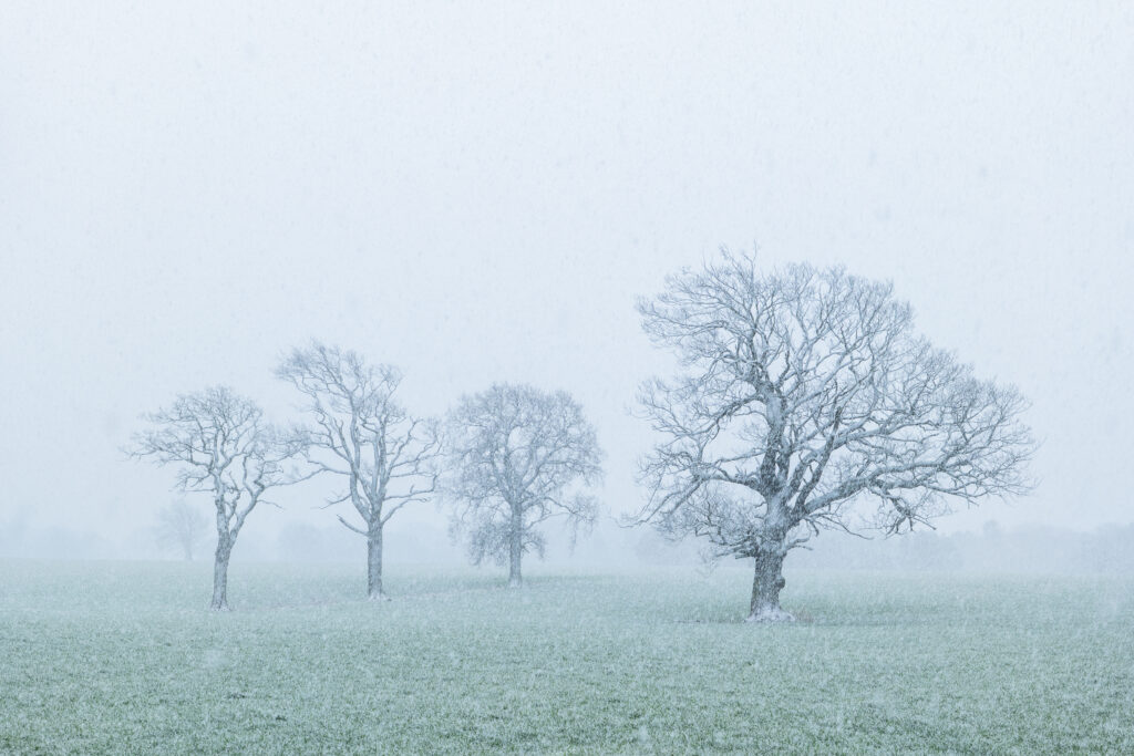 England, County Durham, Barnard Castle. A spring snowfall creates blizzard like conditions on farm land near Barnard Castle.