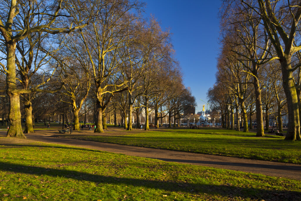 England, London, Green Park. Late afternoon light illuminates Green Park during the spring months. Buckingham Palace can be seen in the distance.