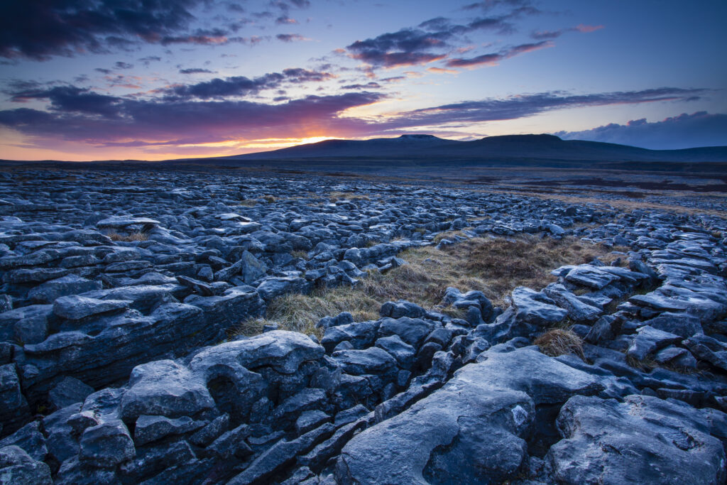 England, North Yorkshire, Yorkshire Dales National Park. Limestone pavement known as Moughton Scars, near the small village of Horton in Ribblesdale, with the peaks of Ingleborough in the distance.