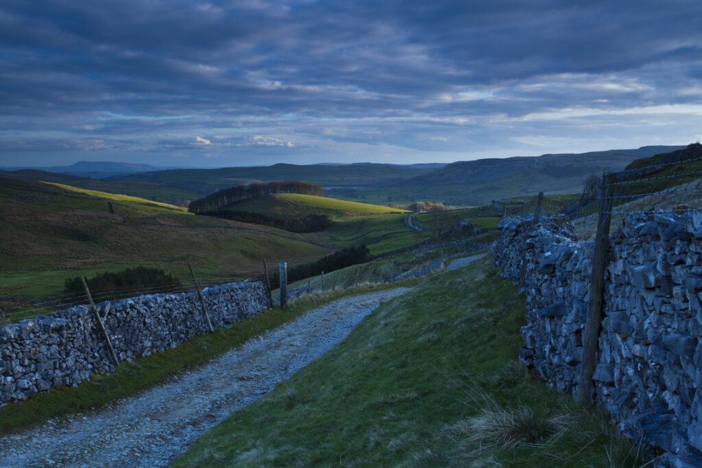 England, North Yorkshire, Yorkshire Dales National Park. Footpath running through a traditional Dry Stone Walled landscape, near the small village of Horton in Ribblesdale.