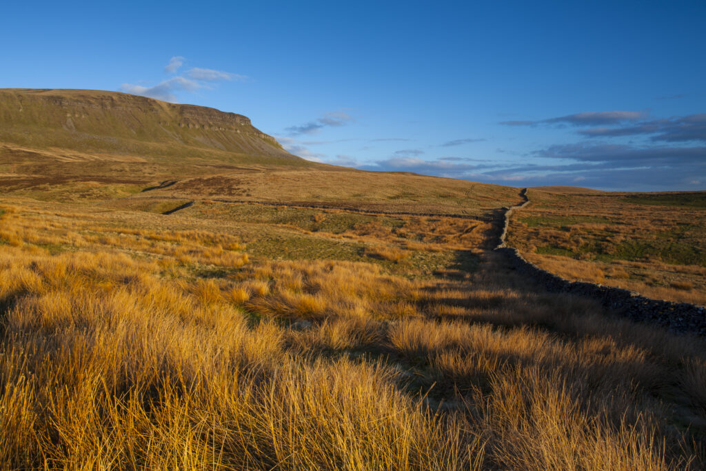 England, North Yorkshire, Yorkshire Dales National Park. Last light on Horton Moor in the Pennines, with the distinctive peak of Pen-y-ghent in the distance.