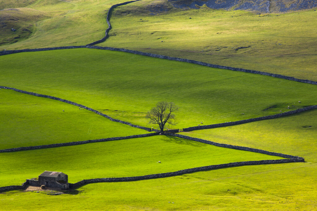 England, North Yorkshire, Yorkshire Dales National Park. Looking down on Crummack Dale and it's traditional dry-stone walls and barn which is a typical feature of the Yorkshire Dales.