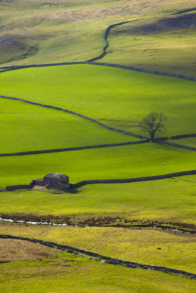 England, North Yorkshire, Yorkshire Dales National Park. Looking down on Crummack Dale and it's traditional dry-stone walls and barn which is a typical feature of the Yorkshire Dales.