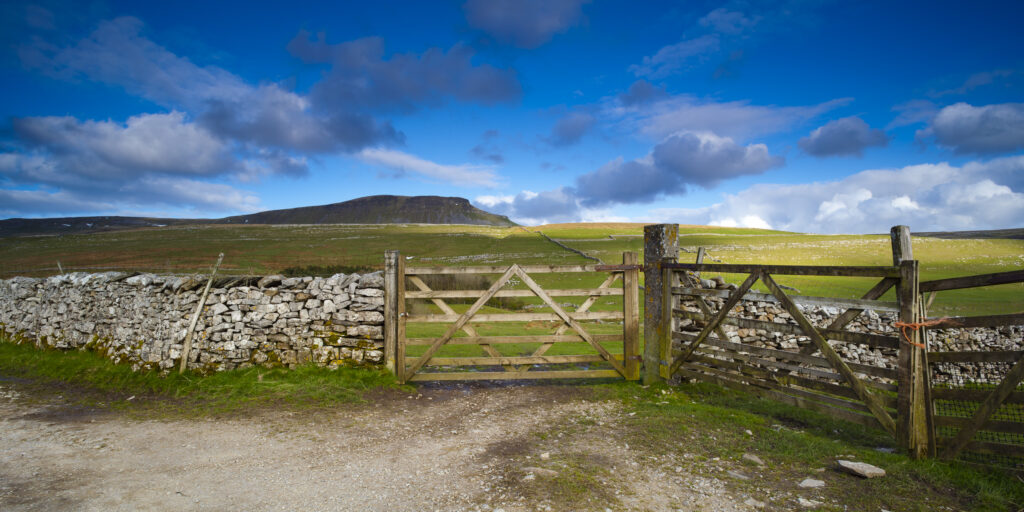 England, North Yorkshire, Yorkshire Dales National Park. Farm field and wooden gates, near the small village of Horton in Ribblesdale with the peak known as Pen-y-ghent in the distance.