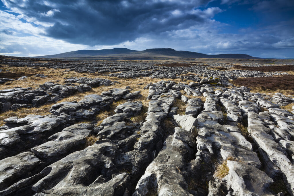 England, North Yorkshire, Yorkshire Dales National Park. Limestone pavement known as Moughton Scars, near the small village of Horton in Ribblesdale, with the peaks of Ingleborough in the distance.