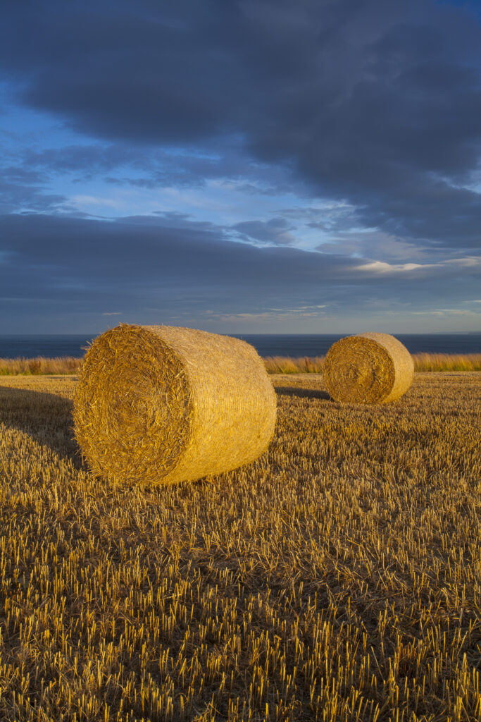 England, North Yorkshire, Scarborough. Storm clouds above a field and hay bales in North Yorkshire.