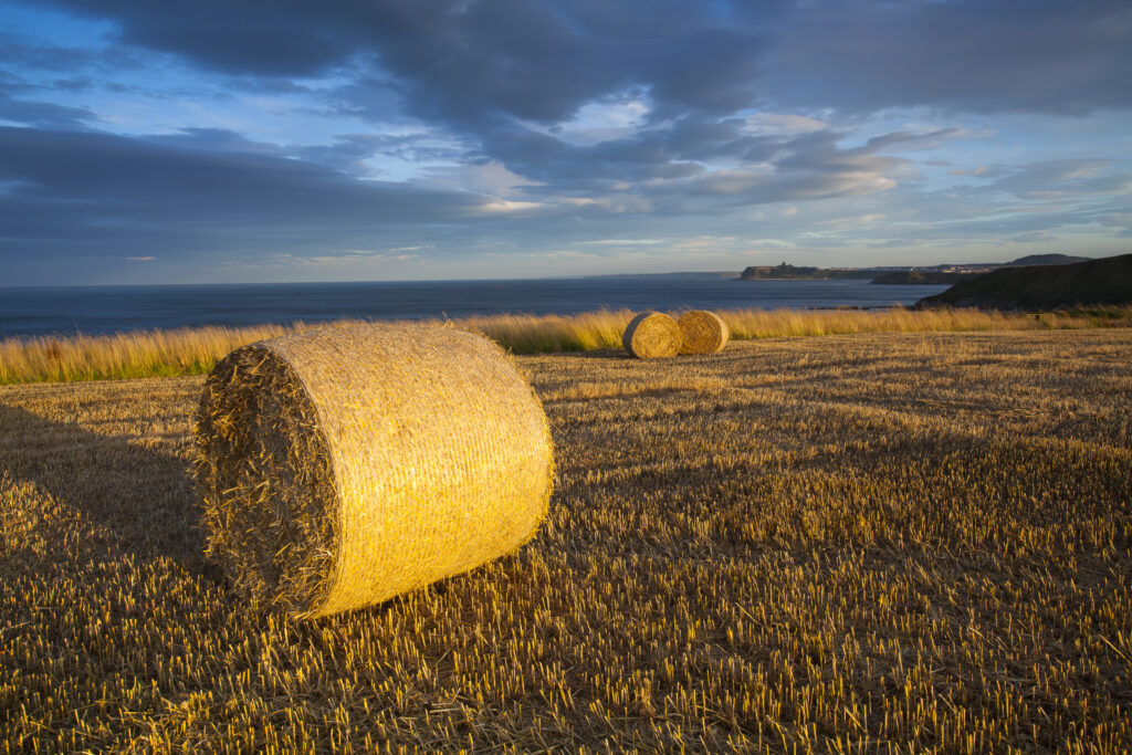 England, North Yorkshire, Scarborough. Storm clouds above a field and hay bales in North Yorkshire.