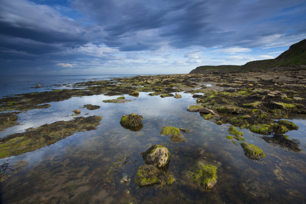 England, North Yorkshire, North York Moors National Park. Rocky coastline located north of Yorkshire, forming part of the North York Moors National Park.
