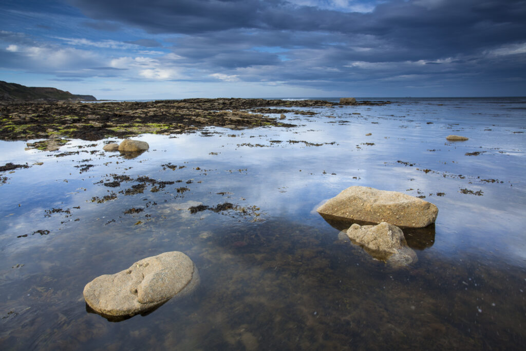England, North Yorkshire, North York Moors National Park. Rocky coastline located north of Yorkshire, forming part of the North York Moors National Park.