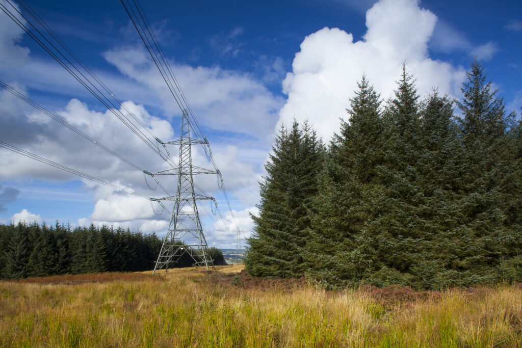 England, Northumberland, Thrunton Woods. Electricity Pylons running through Forestry Commission woodland near Rothbury in Northumberland.
