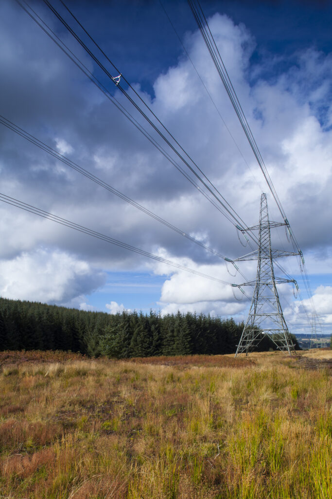 England, Northumberland, Thrunton Woods. Electricity Pylons running through Forestry Commission woodland near Rothbury in Northumberland.