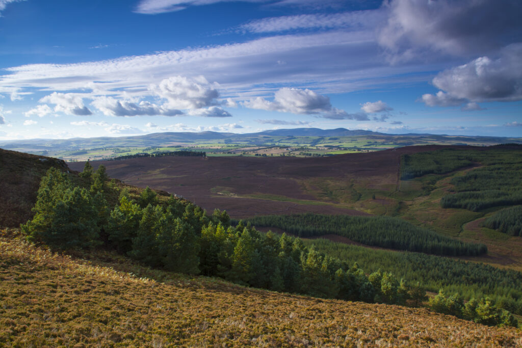 England, Northumberland, Northumberland National Park. View from Long Crag looking towards the Cheviot Hills.