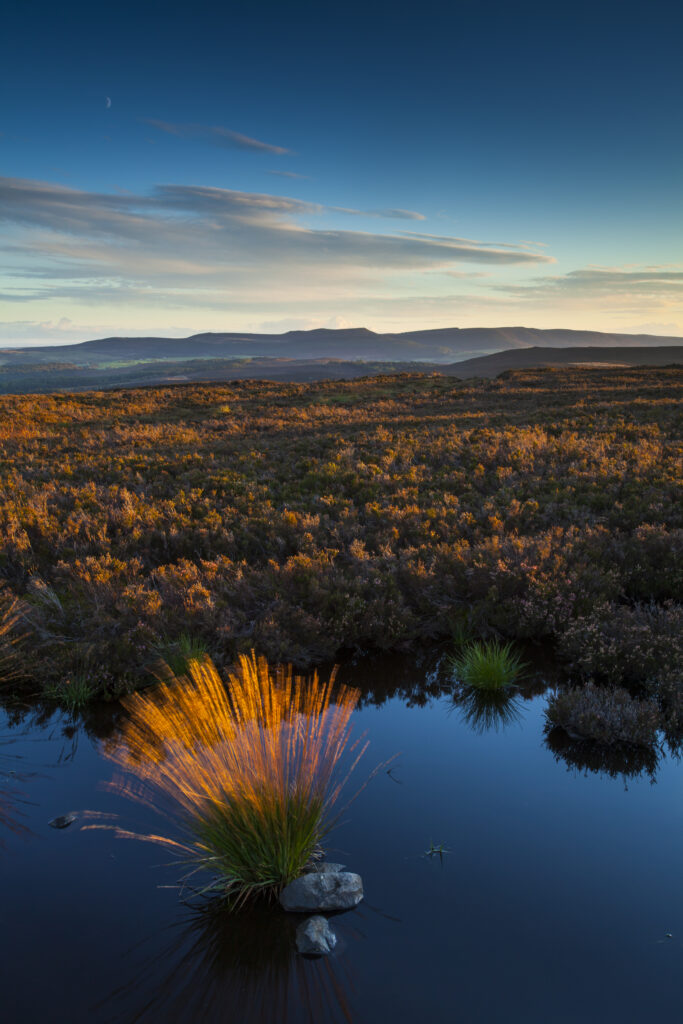 England, Northumberland, Northumberland National Park. Last light on Long Crag, looking towards the Simonside Hills.