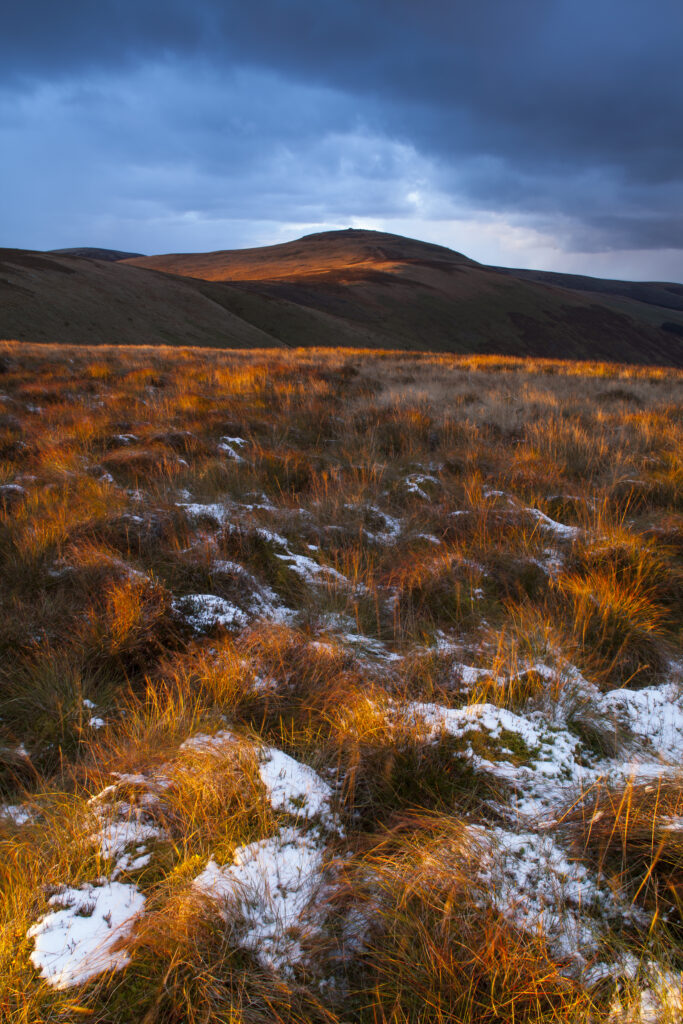 England, Northumberland, Northumberland National Park. Last light near Auchope Rig, looking towards the Scottish Uplands.