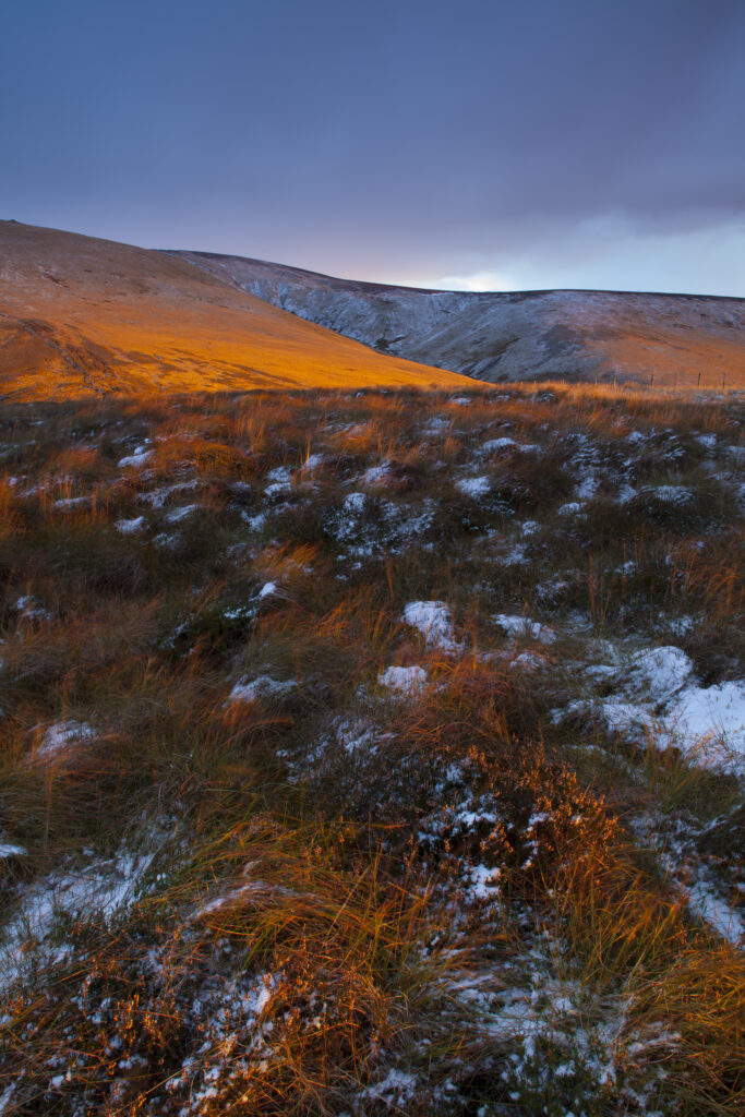 England, Northumberland, Northumberland National Park. England, Northumberland, Northumberland National Park. Last light near Auchope Mountain Refuge, looking towards the Cheviot Hill and auchope Rig.