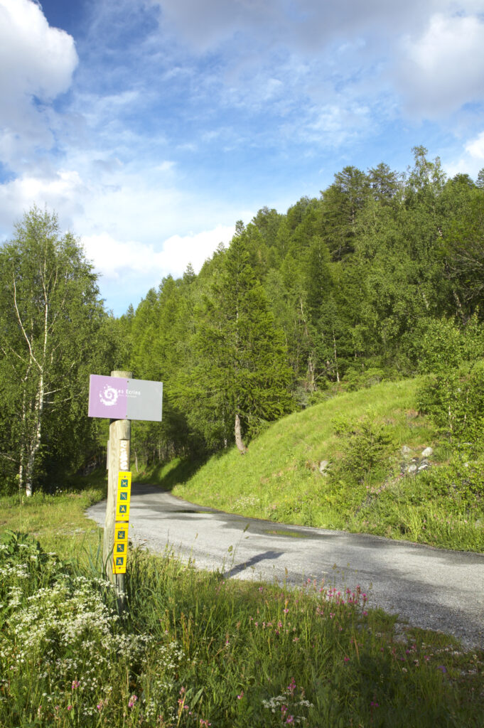 France, Rhône-Alpes, The Ecrins National Park. Ecrins National Park sign by a lane running through woodland near La Grave