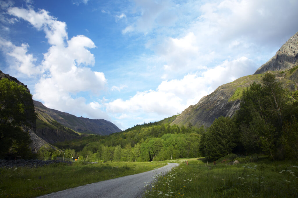 France, Rhône-Alpes, The Ecrins National Park. Ecrins National Park. Small country lane running through woodland near La Grave