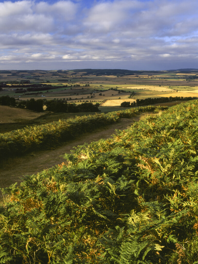 ENGLAND, Northumberland, Northumberland National Park. View from Cheviot hills near the town of Wooler, towards Scottish Borders