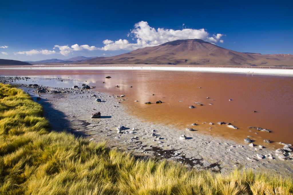 Bolivia, Southern Altiplano, Laguna Colorada. The dramatic other world landscape of the Laguna Coloroda otherwise know as the coloured lake.