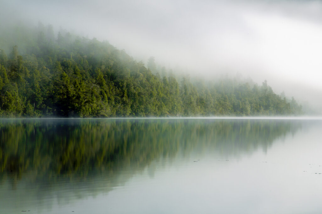 New Zealand, Southland, Fiordland National Park. Autumn mist clears from Lake Alabaster, on the Hollyford Track.