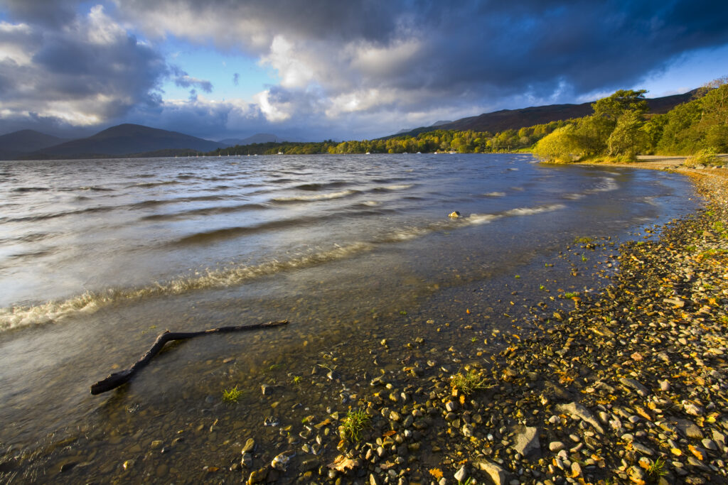 Scotland, Stirling, Loch Lomond and the Trossachs National Park. The autumnal colours of Oak woodlands fringing Loch Lomond at the bay of Milarrochy.