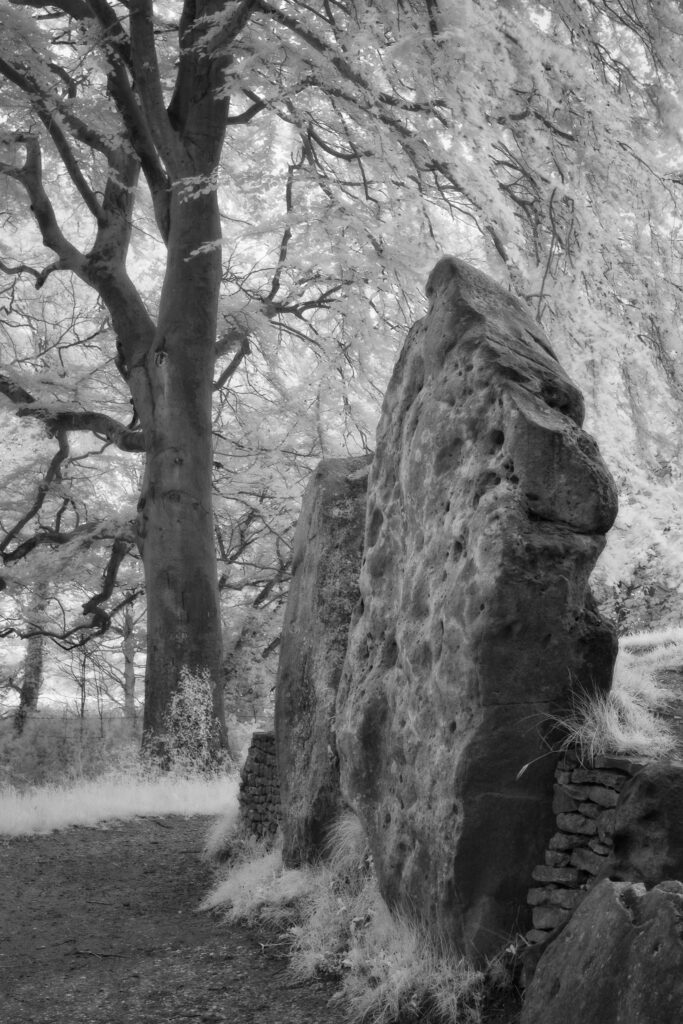 Wayland's Smithy, Oxfordshire. This image was photographed for the Legacy project, a fascinating not-for-profit endeavour to capture the mystifying stone remains of prehistoric sites scattered across the British Isles. Please visit www.thelegacyproject.org.uk for more information.