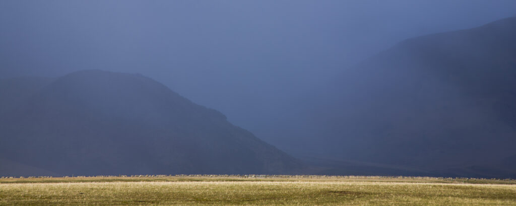 New Zealand, Canterbury, Springfield. Snow storm engulfs the mountains of the Canterbury Plains near Highway 73.