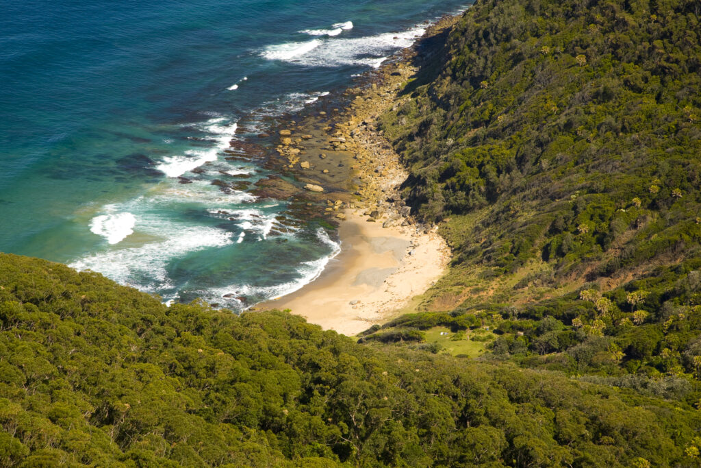 Australia, New South Wales, Royal National Park.