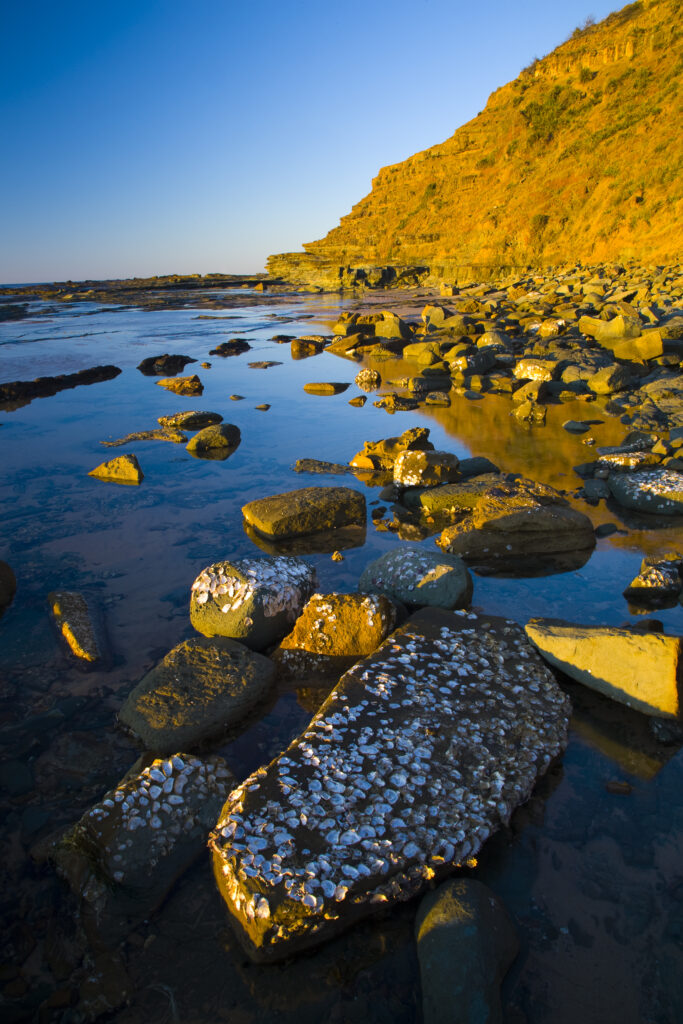 Australia, New South Wales, Royal National Park. Early morning light gently illuminates the picturesque coastline found at North Era, on the Royal National Park Coastal Track.