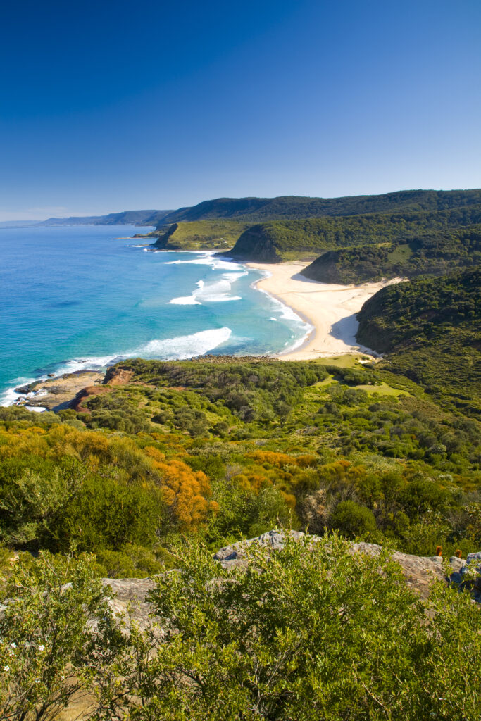 Australia, New South Wales, Royal National Park. View from the headlands north of Garie Beach, looking south.
