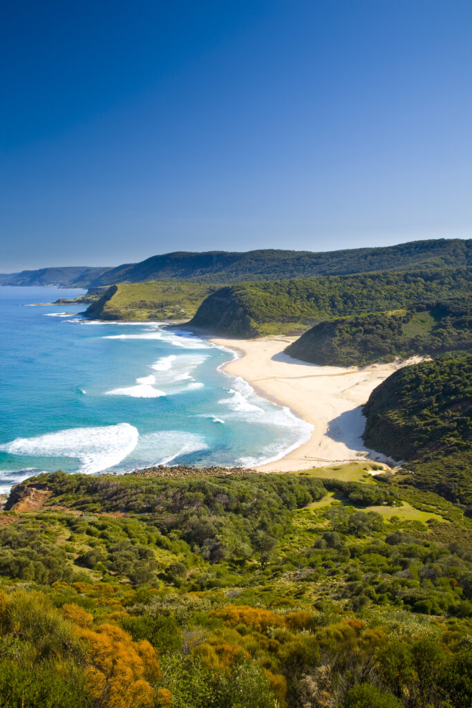 Australia, New South Wales, Royal National Park. View from the headlands north of Garie Beach, looking south.