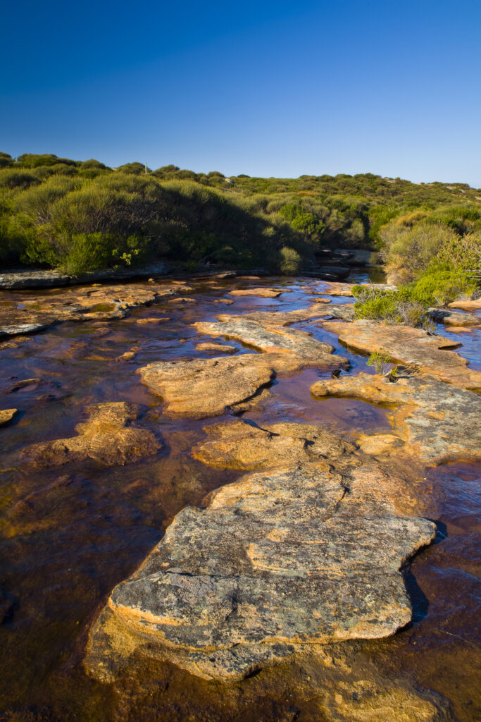 Australia, New South Wales, Royal National Park. Curra Brook, crossed whilst walking the Coast Track through the Royal National Park.