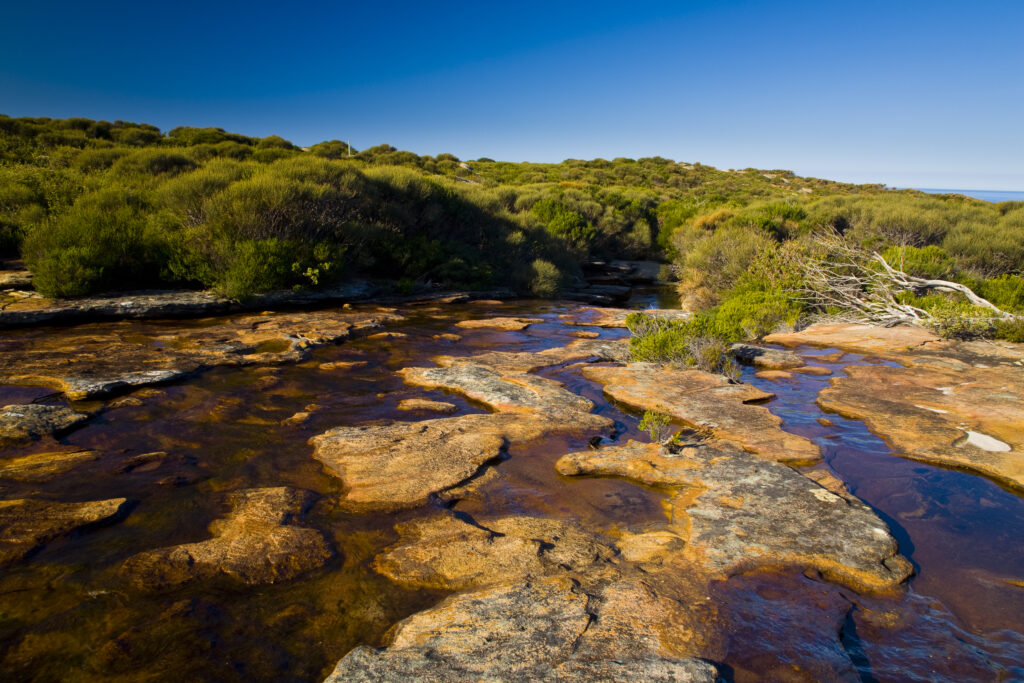 Australia, New South Wales, Royal National Park. Curra Brook, crossed whilst walking the Coast Track through the Royal National Park.