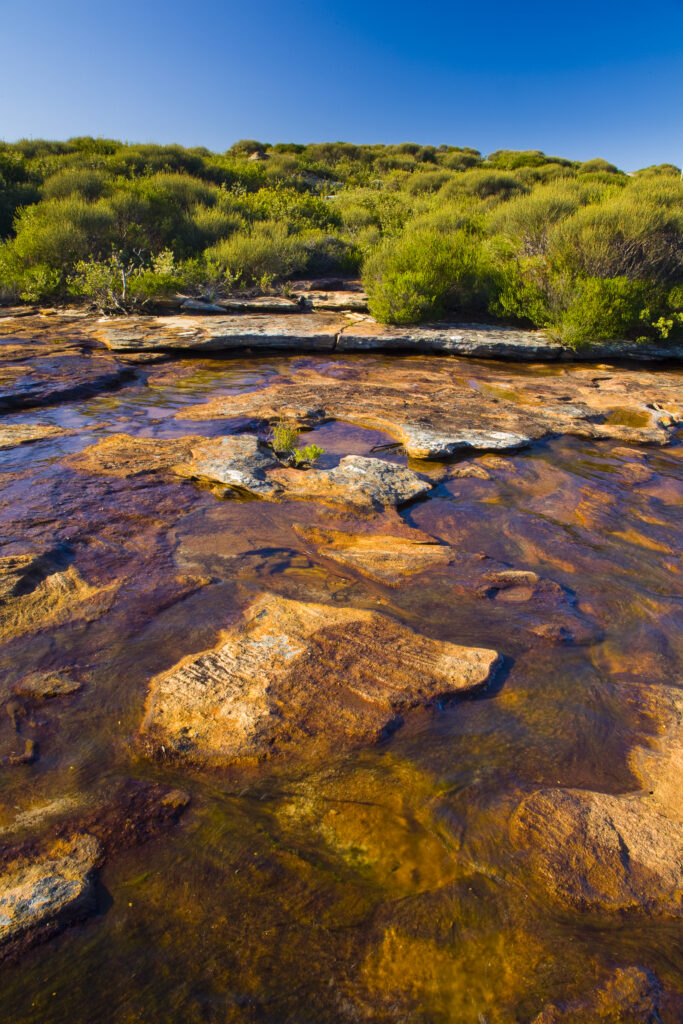 Australia, New South Wales, Royal National Park. Curra Brook, crossed whilst walking the Coast Track through the Royal National Park.