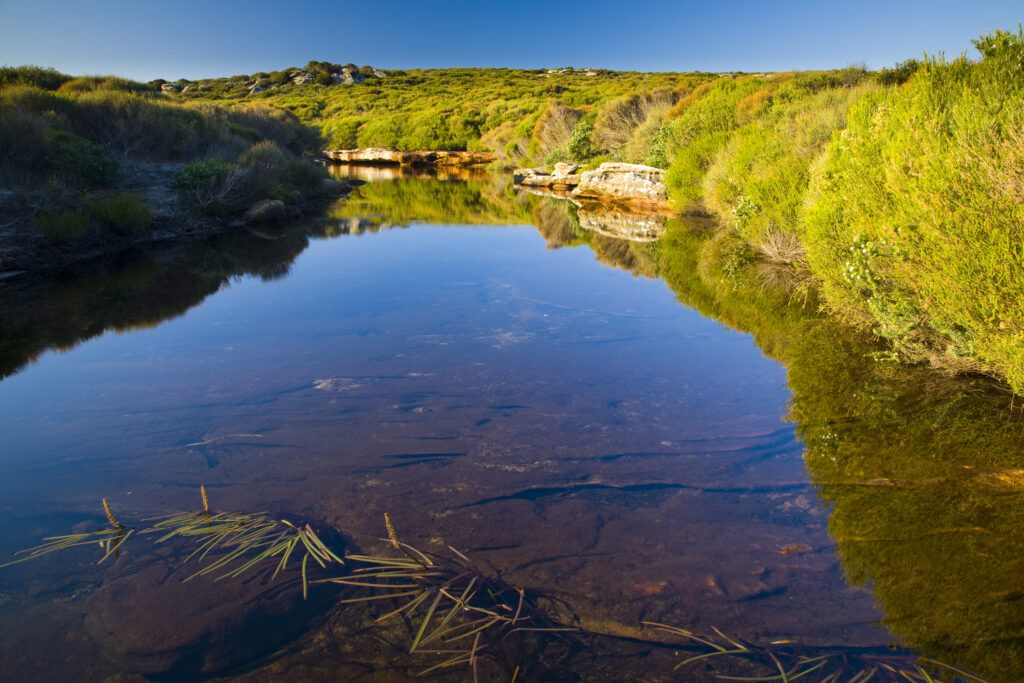 Australia, New South Wales, Royal National Park. Curracurrong Creek, crossed whilst walking the Coast Track through the Royal National Park.