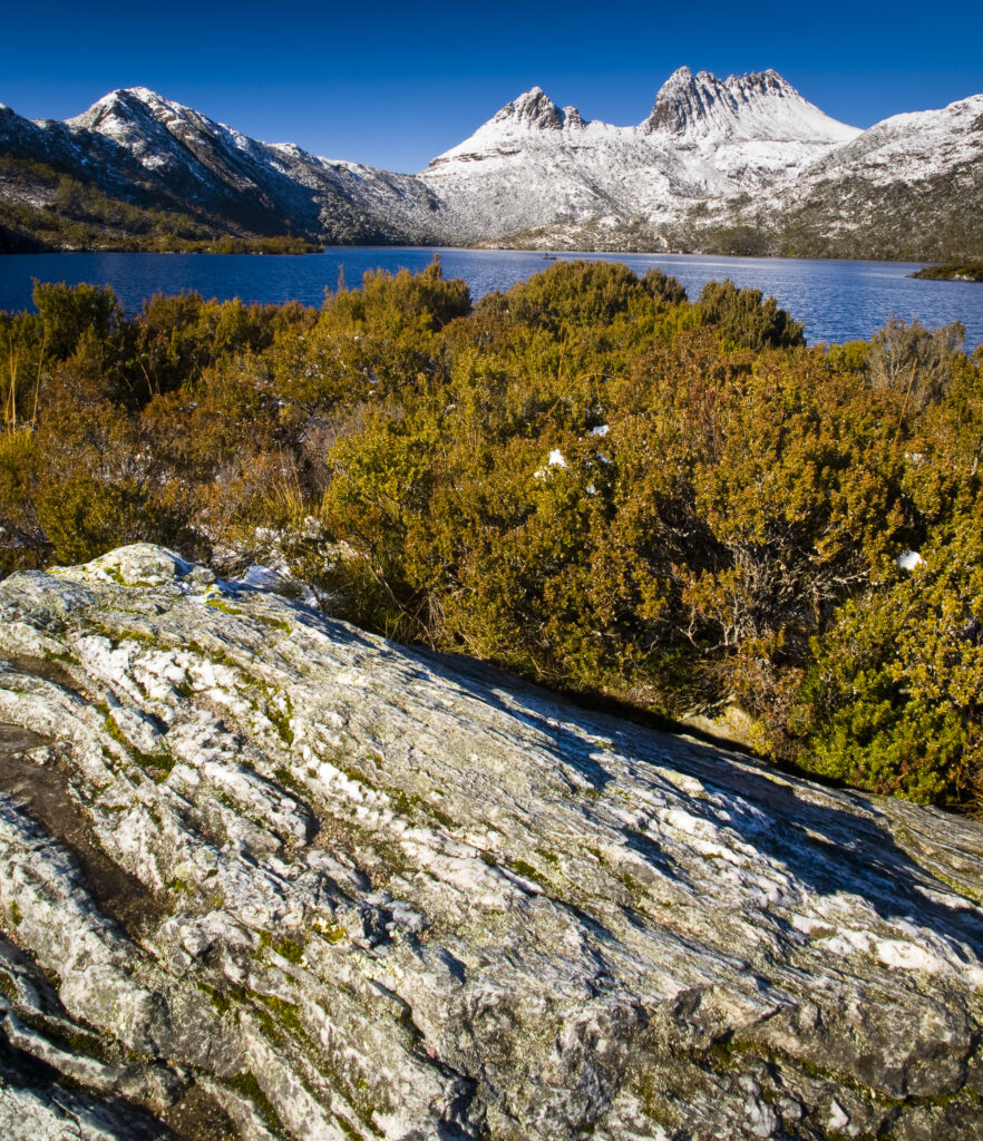 Australia, Tasmania, Cradle Mt - Lake St Clair National Park. Native bush alongside Dove Lake, with Cradle Mountain in the distance.