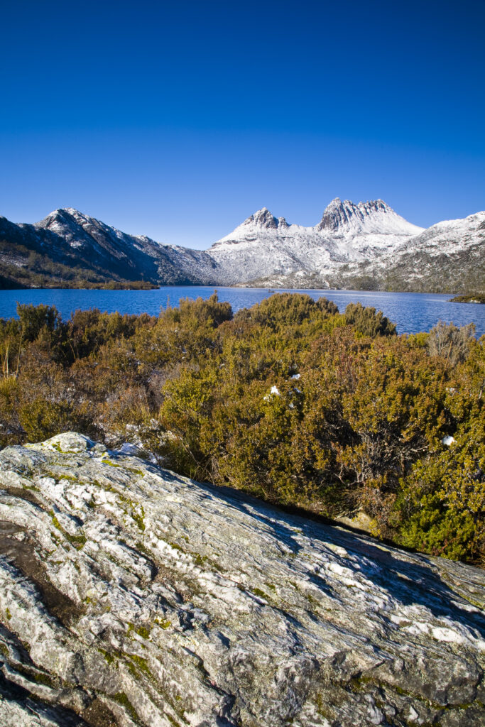 Australia, Tasmania, Cradle Mt - Lake St Clair National Park. Native bush alongside Dove Lake, with Cradle Mountain in the distance.
