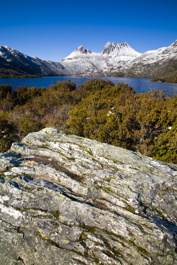 Australia, Tasmania, Cradle Mt - Lake St Clair National Park. Native bush alongside Dove Lake, with Cradle Mountain in the distance.