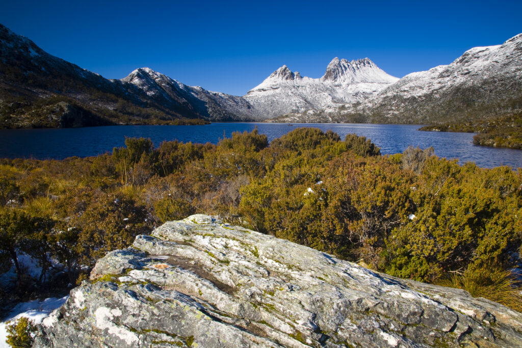 Australia, Tasmania, Cradle Mt - Lake St Clair National Park. Native bush alongside Dove Lake, with Cradle Mountain in the distance.