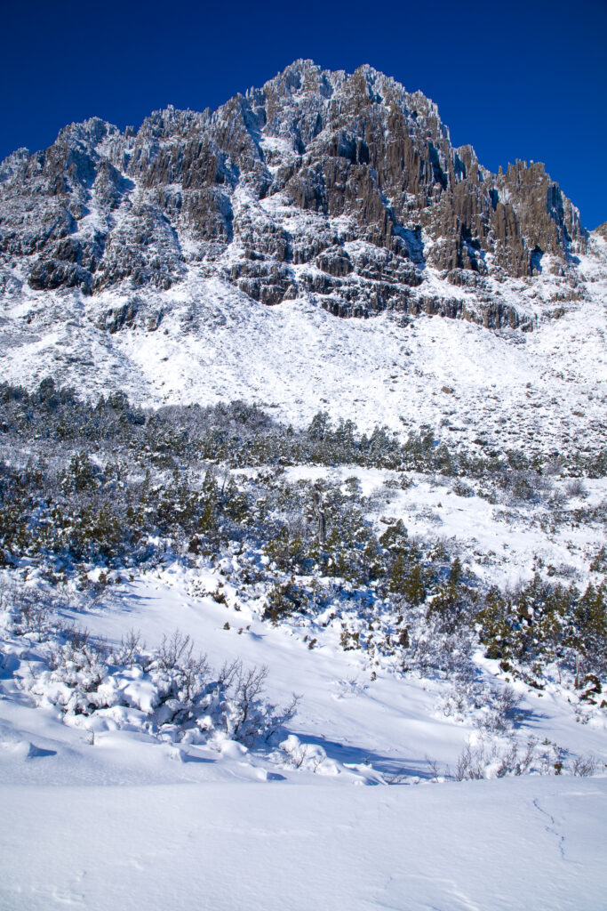 Australia, Tasmania, Cradle Mt - Lake St Clair National Park. Snow and ice covered dolerite columns forming Cradle Mountain.
