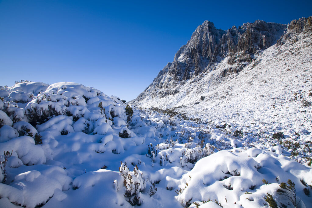Australia, Tasmania, Cradle Mt - Lake St Clair National Park. Snow covered native bush and the dolerite columns of Cradle Mountain.