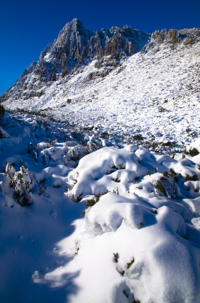 Australia, Tasmania, Cradle Mt - Lake St Clair National Park. Snow covered native bush and the dolerite columns of Cradle Mountain.