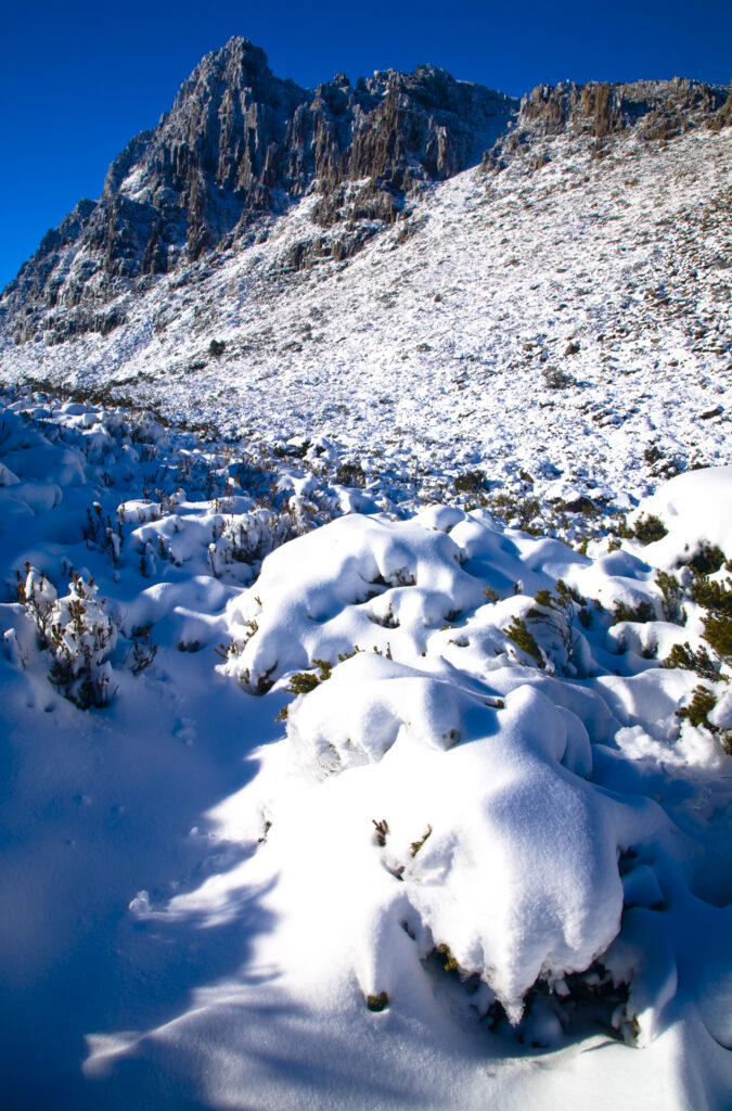 Australia, Tasmania, Cradle Mt - Lake St Clair National Park. Snow covered native bush and the dolerite columns of Cradle Mountain.