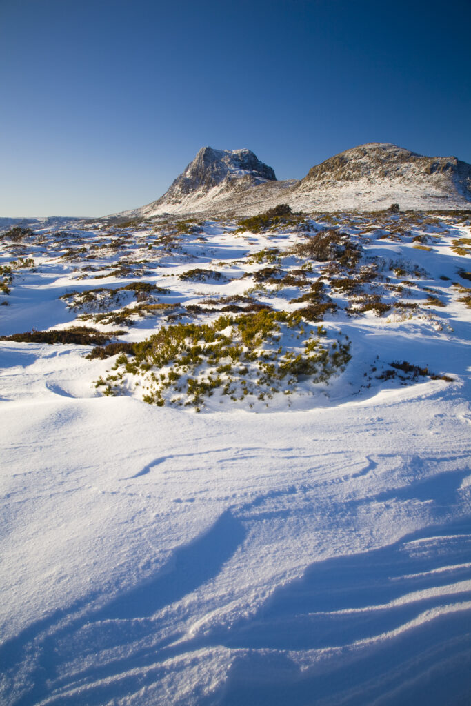 Australia, Tasmania, Cradle Mt - Lake St Clair National Park. Snow covered native bush and the dolerite columns of Cradle Mountain.