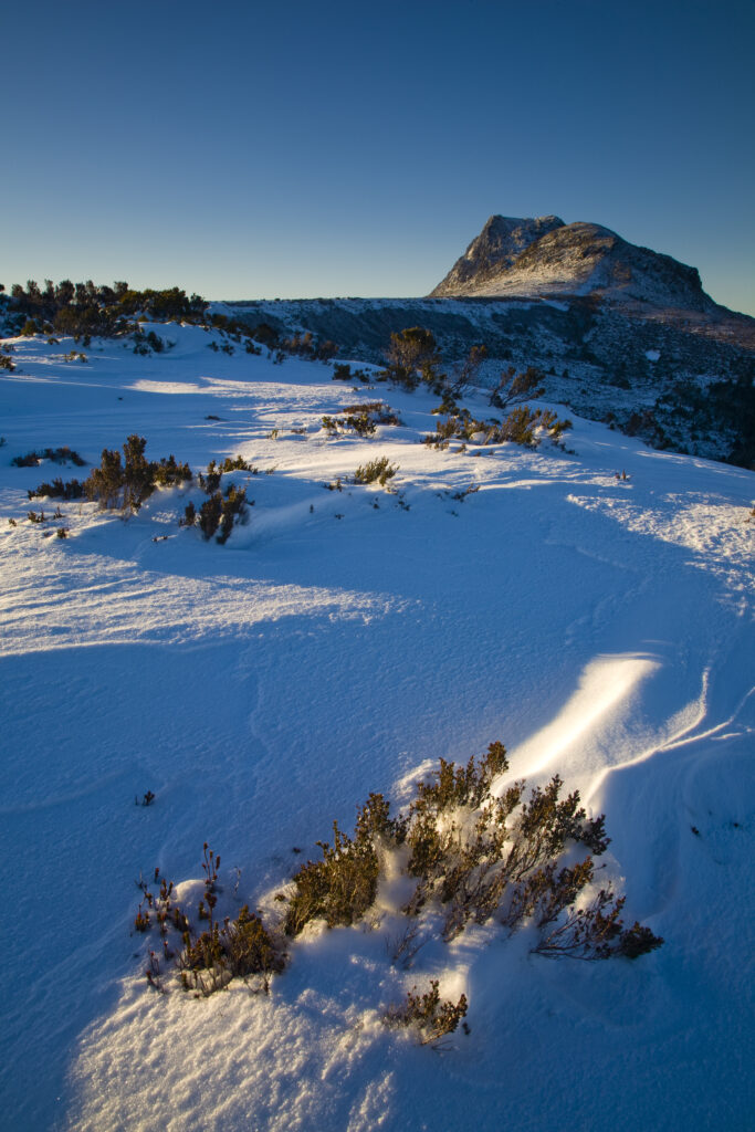 Australia, Tasmania, Cradle Mt - Lake St Clair National Park. Snow covered native bush and the dolerite columns of Cradle Mountain.